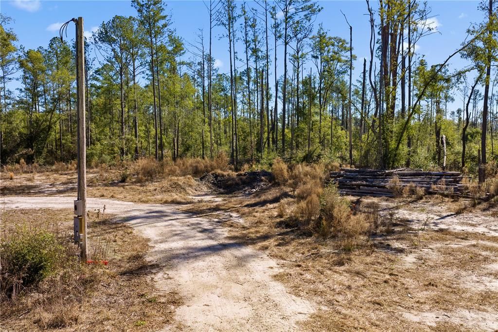 For Sale: $54,000 (1.84 acres)