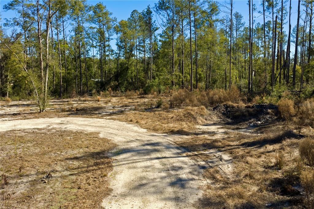 For Sale: $54,000 (1.84 acres)