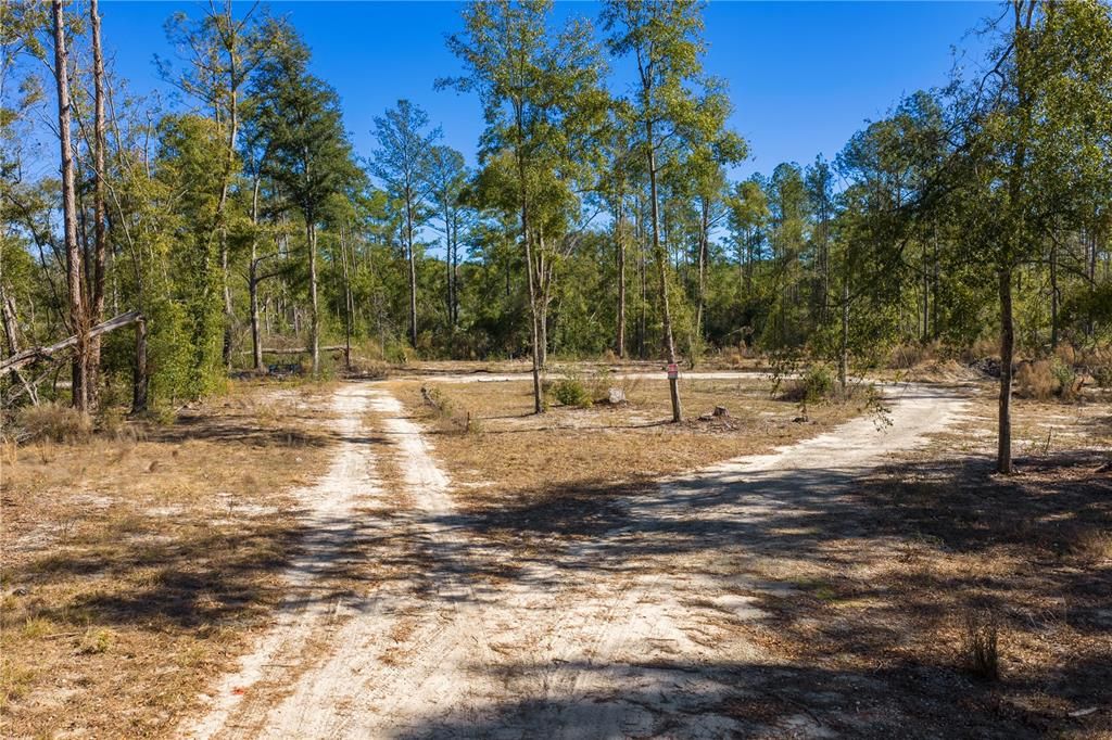 For Sale: $54,000 (1.84 acres)