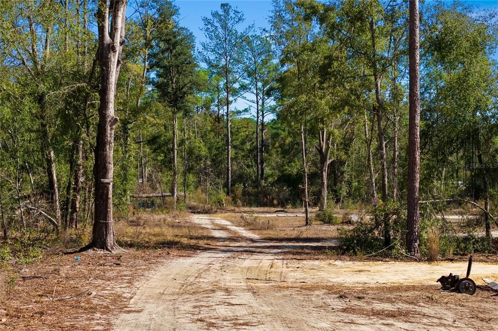 For Sale: $54,000 (1.84 acres)