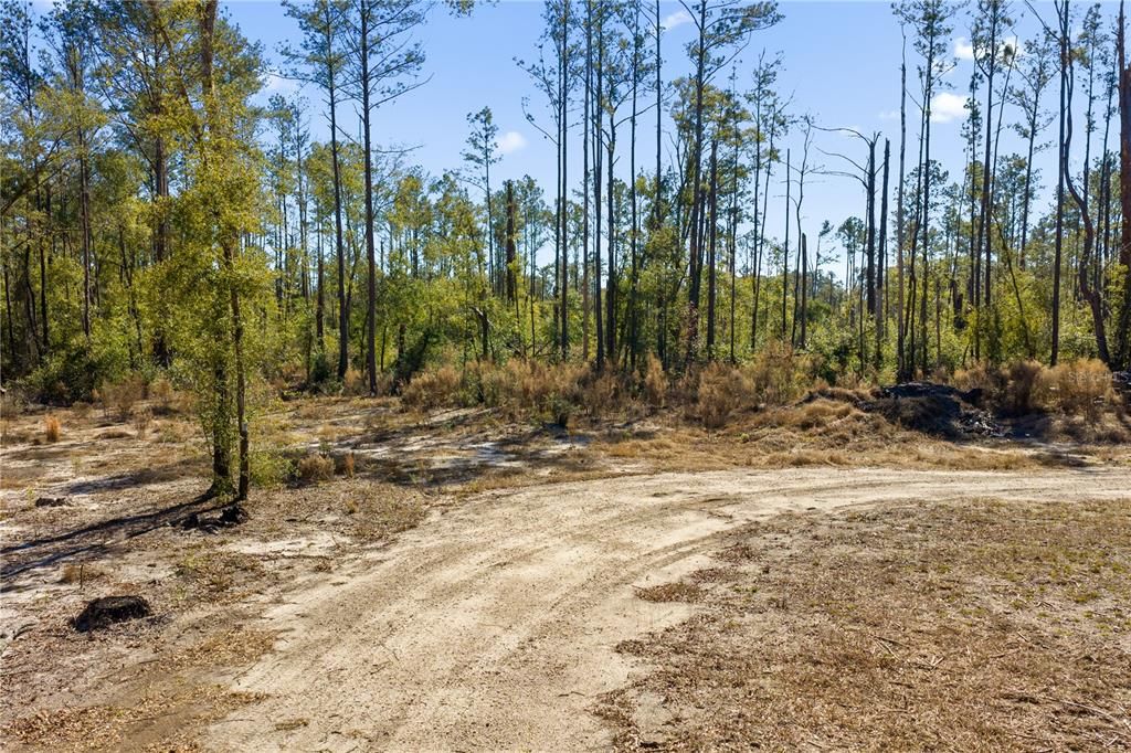 For Sale: $54,000 (1.84 acres)