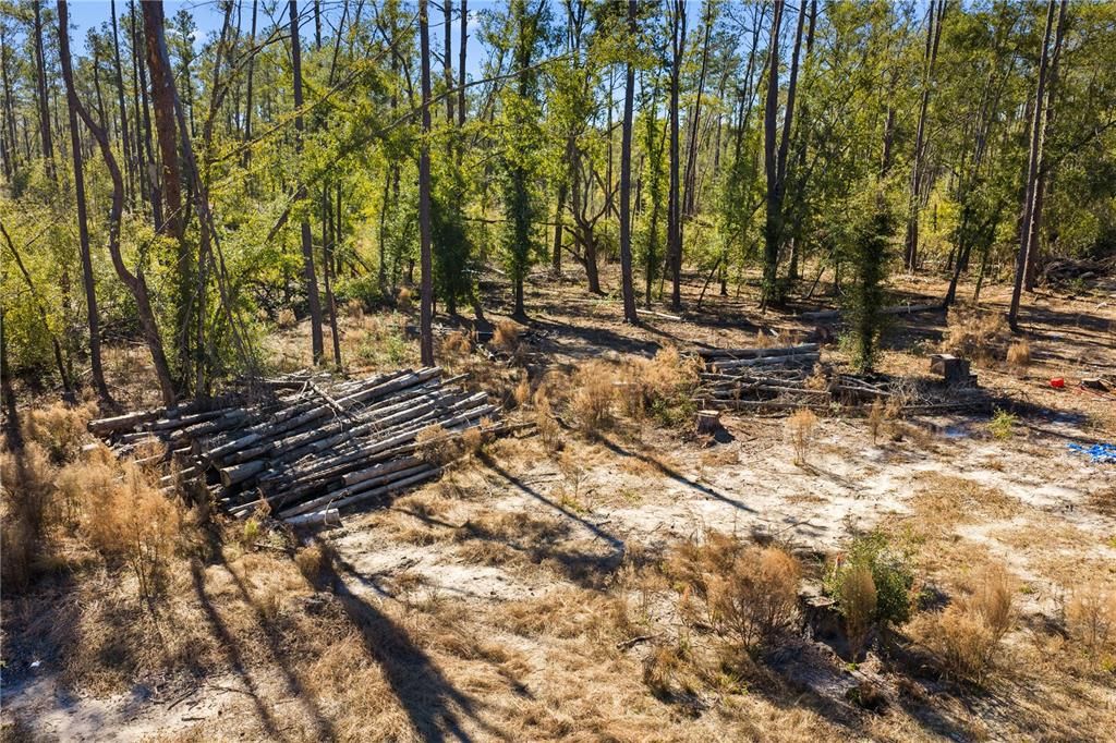 For Sale: $54,000 (1.84 acres)