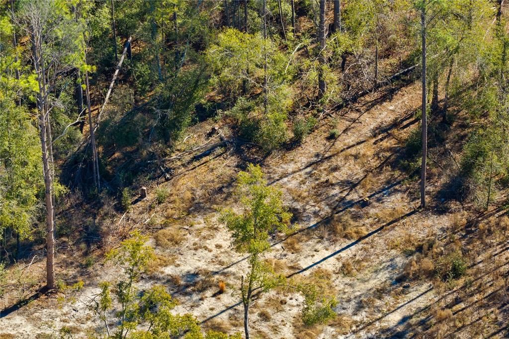 For Sale: $54,000 (1.84 acres)