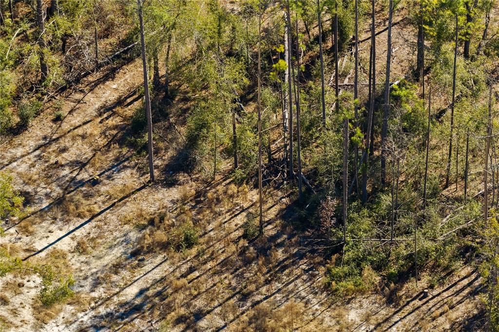 For Sale: $54,000 (1.84 acres)