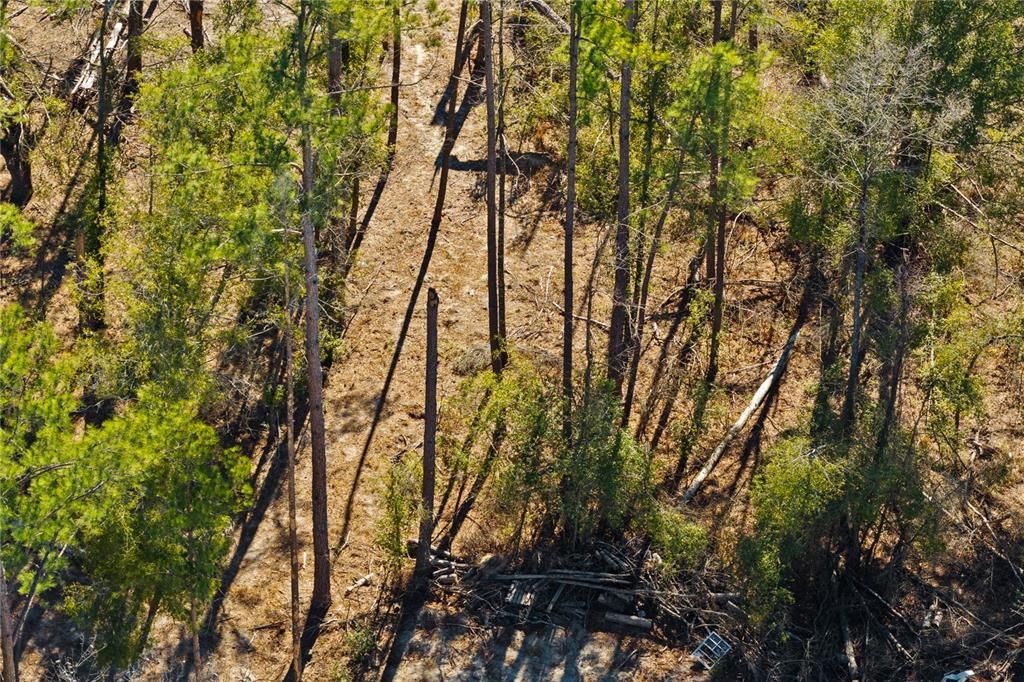 For Sale: $54,000 (1.84 acres)