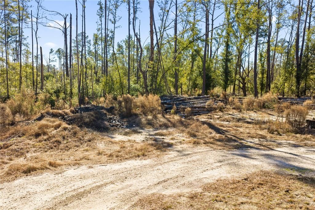 For Sale: $54,000 (1.84 acres)