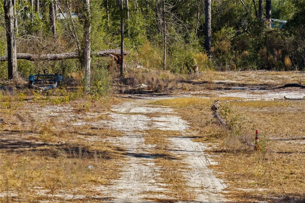 For Sale: $54,000 (1.84 acres)