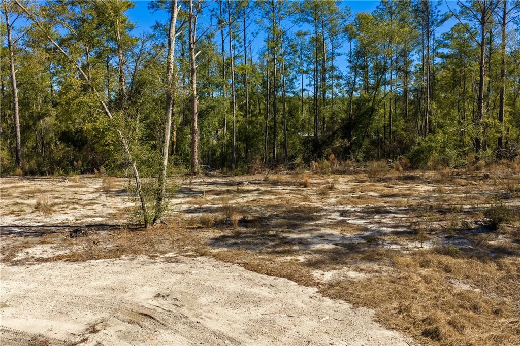 For Sale: $54,000 (1.84 acres)