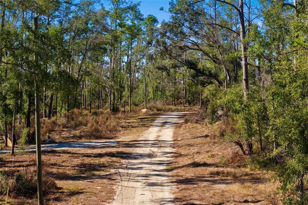 For Sale: $54,000 (1.84 acres)