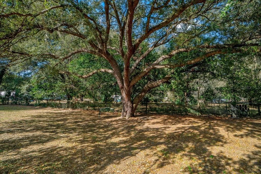 En Venta: $243,000 (3 camas, 2 baños, 1708 Pies cuadrados)