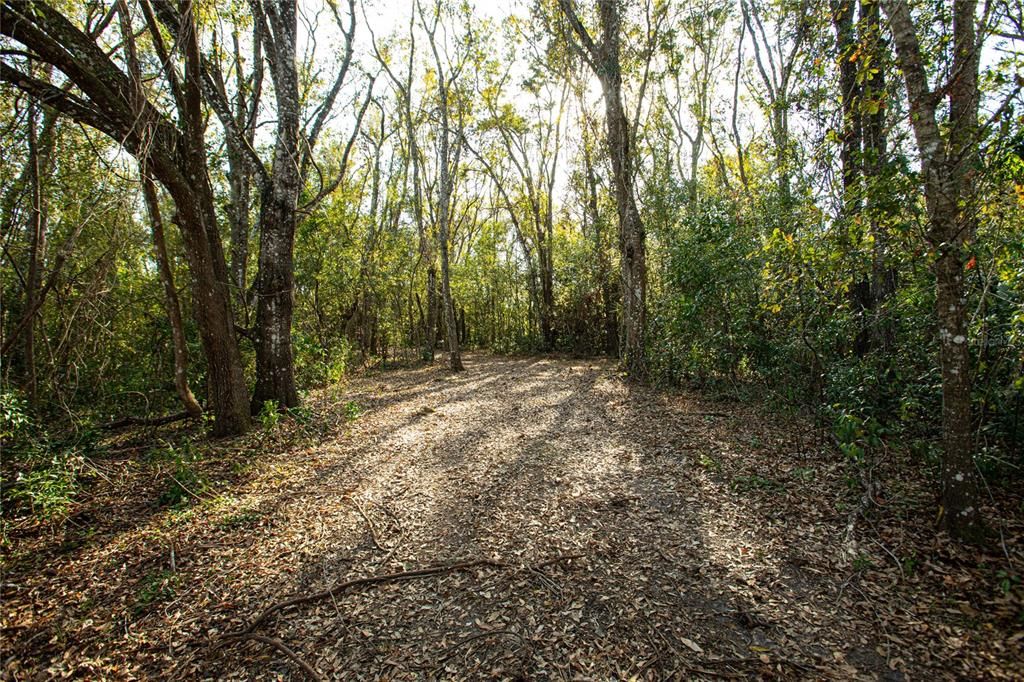 For Sale: $369,000 (2.82 acres)