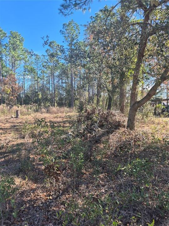 На продажу: $45,000 (0.29 acres)