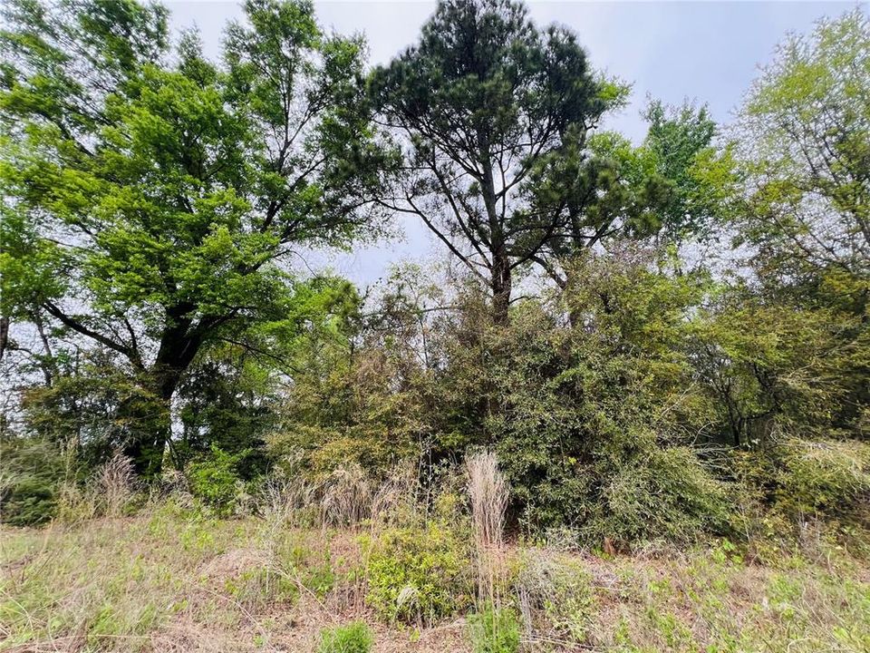 待售: $400,000 (79.00 acres)