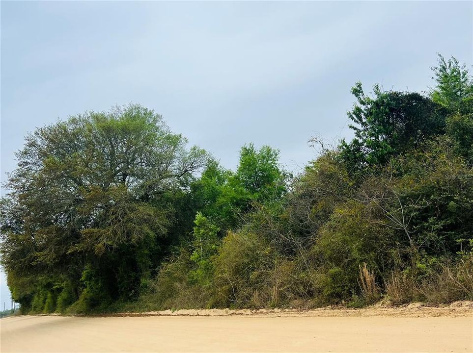 待售: $400,000 (79.00 acres)