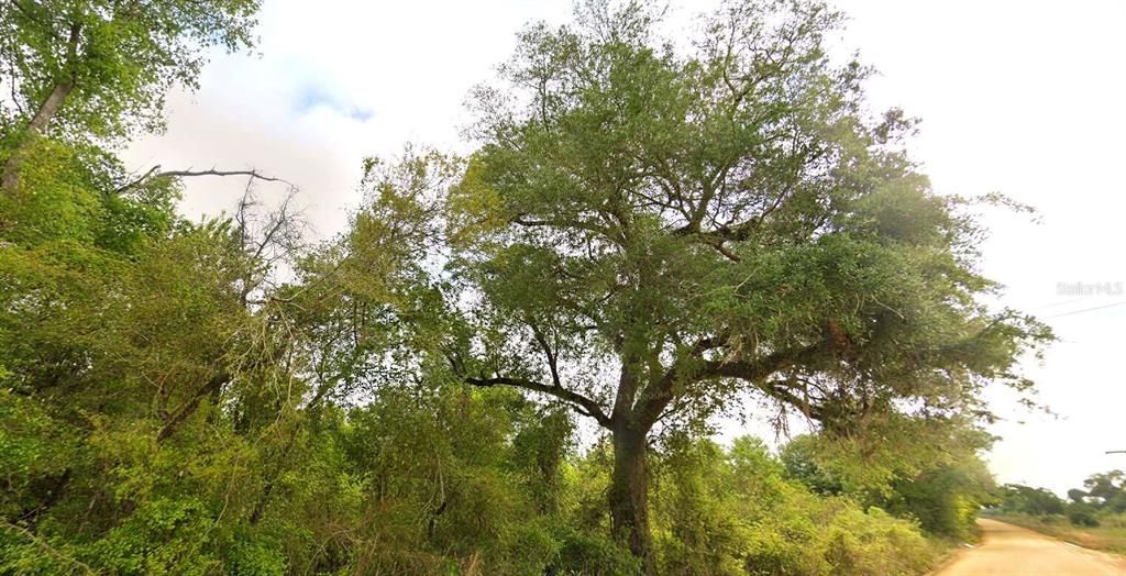 待售: $400,000 (79.00 acres)