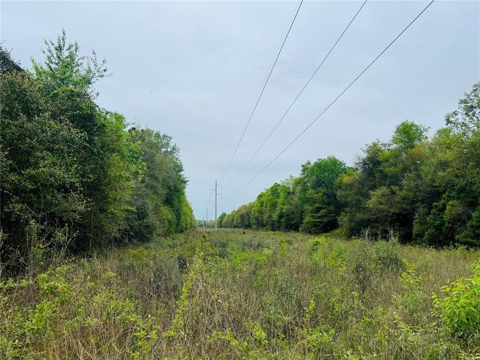 待售: $400,000 (79.00 acres)