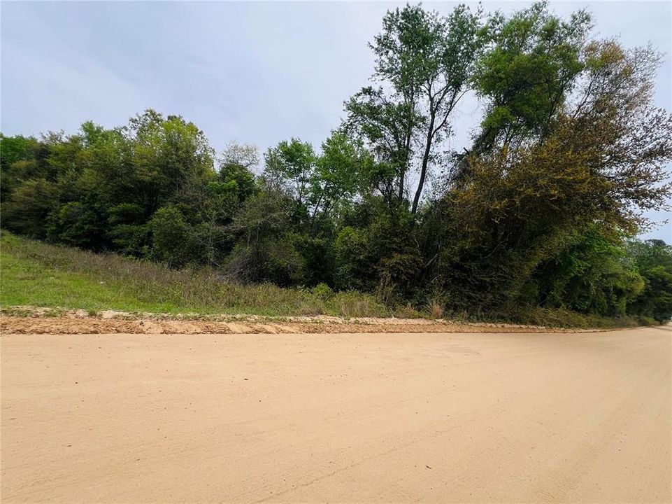 待售: $400,000 (79.00 acres)