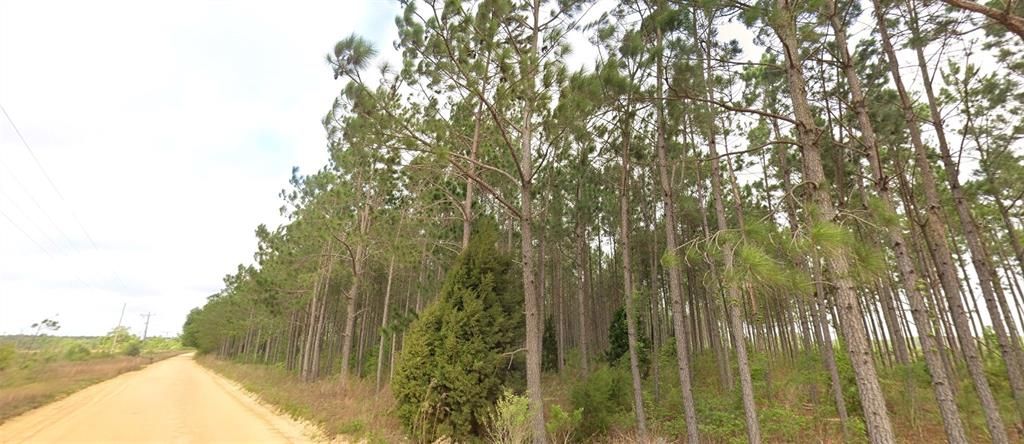 待售: $400,000 (79.00 acres)