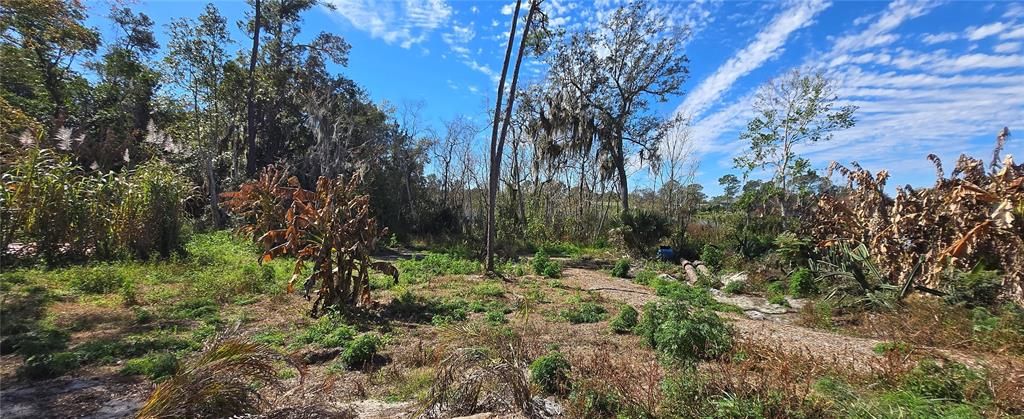 For Sale: $75,000 (0.59 acres)