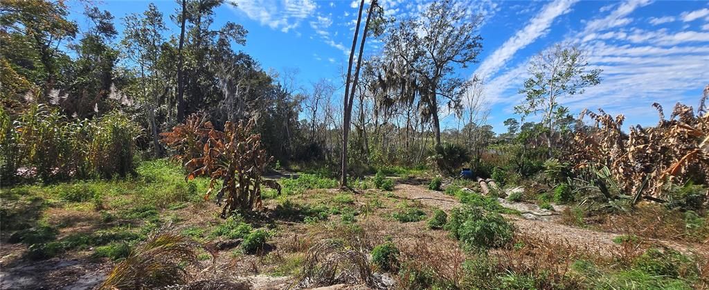 For Sale: $75,000 (0.59 acres)