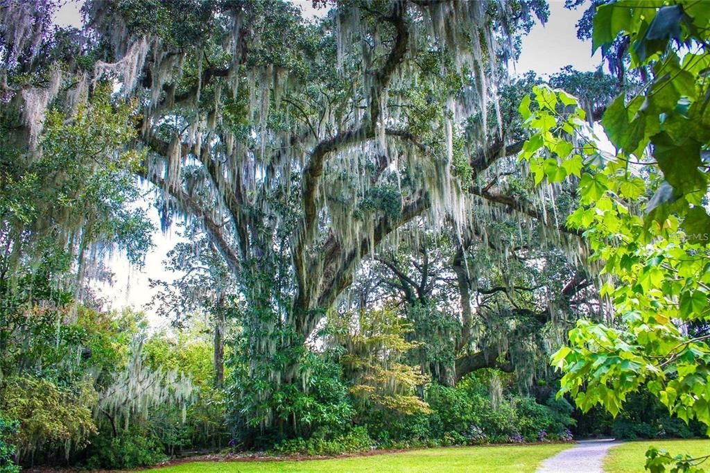 待售: $895,000 (0.89 acres)