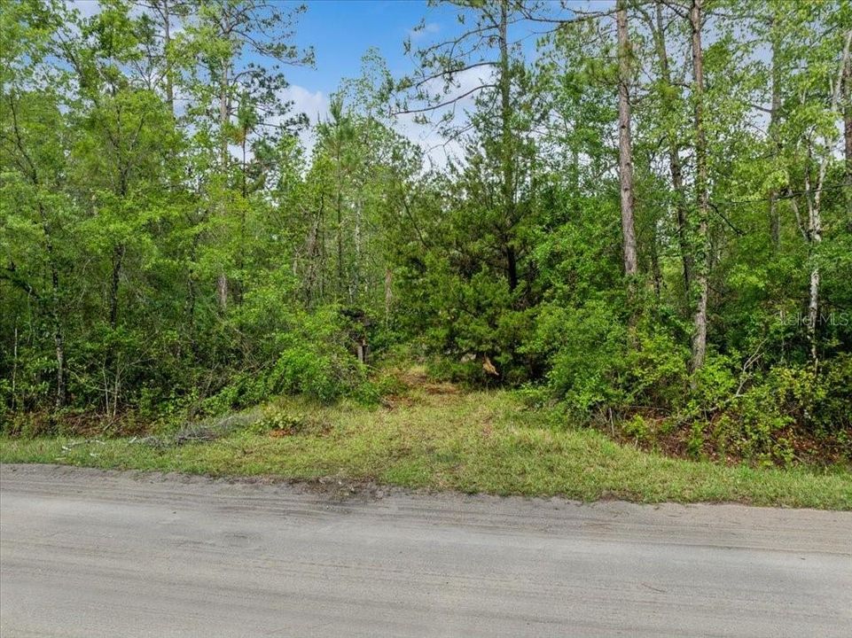 На продажу: $144,900 (3.41 acres)