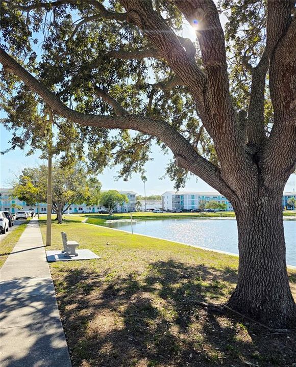 For Sale: $74,900 (1 beds, 1 baths, 585 Square Feet)