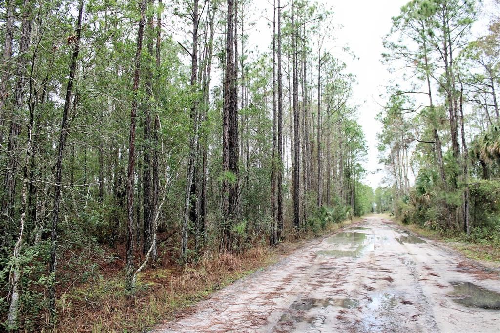 最近售出: $135,000 (10.00 acres)
