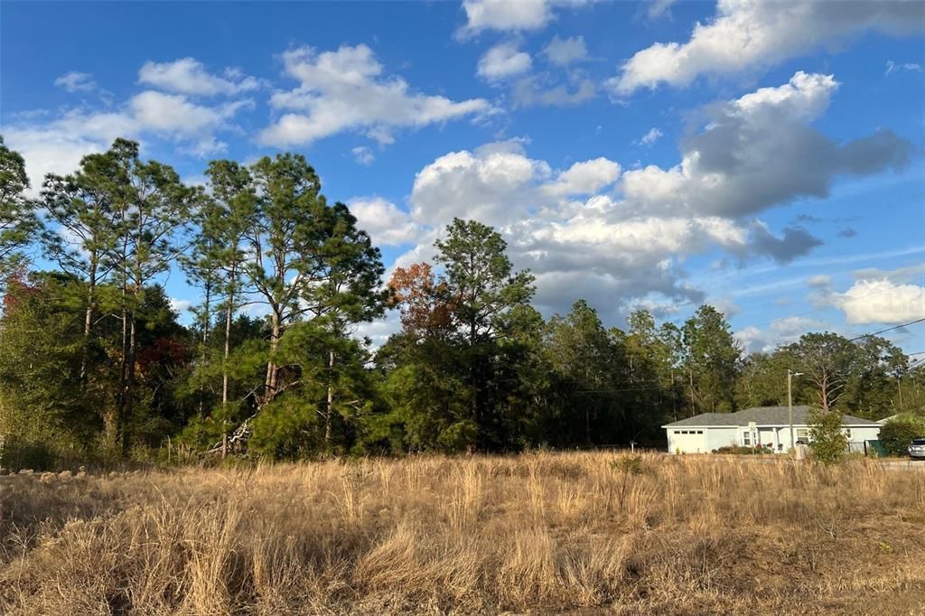 待售: $65,000 (0.29 acres)