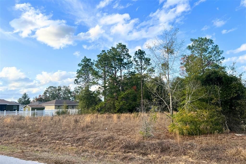 待售: $65,000 (0.29 acres)