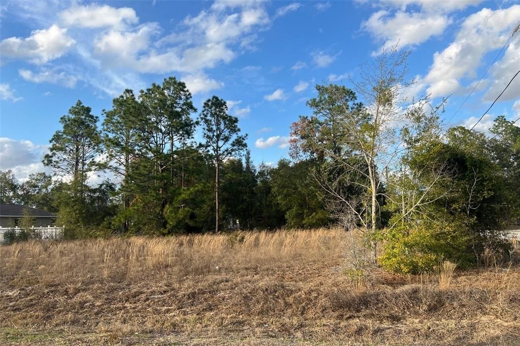 待售: $65,000 (0.29 acres)