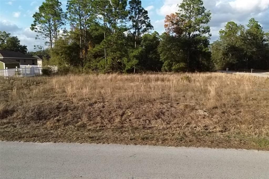 待售: $65,000 (0.29 acres)