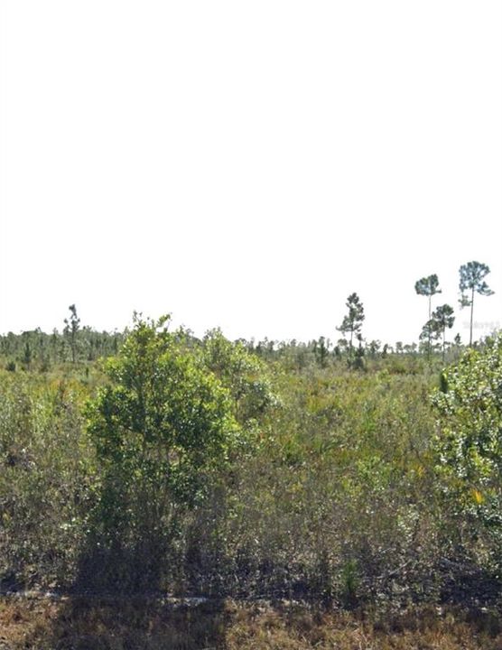 На продажу: $32,500 (0.50 acres)
