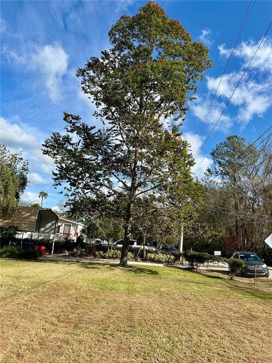 For Sale: $629,000 (3 beds, 2 baths, 1416 Square Feet)