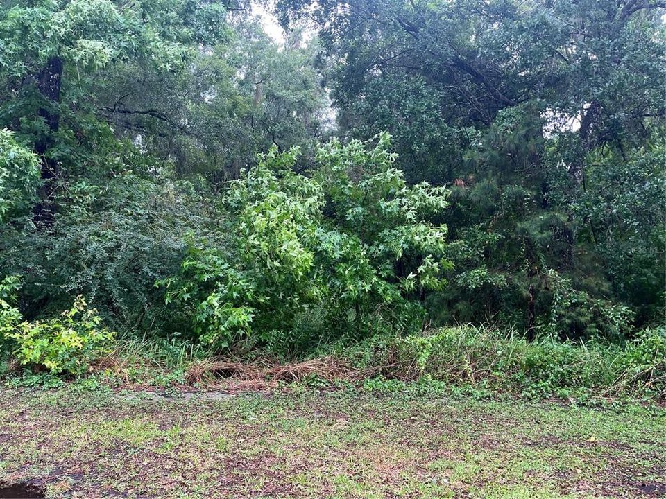 En Venta: $39,900 (0.50 acres)