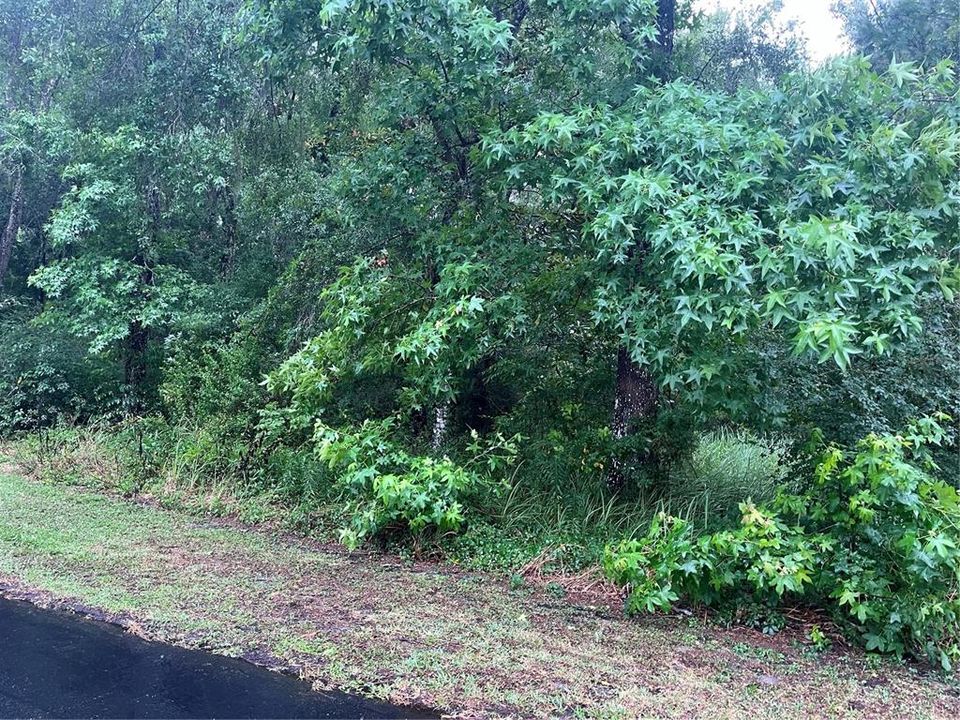 En Venta: $39,900 (0.50 acres)