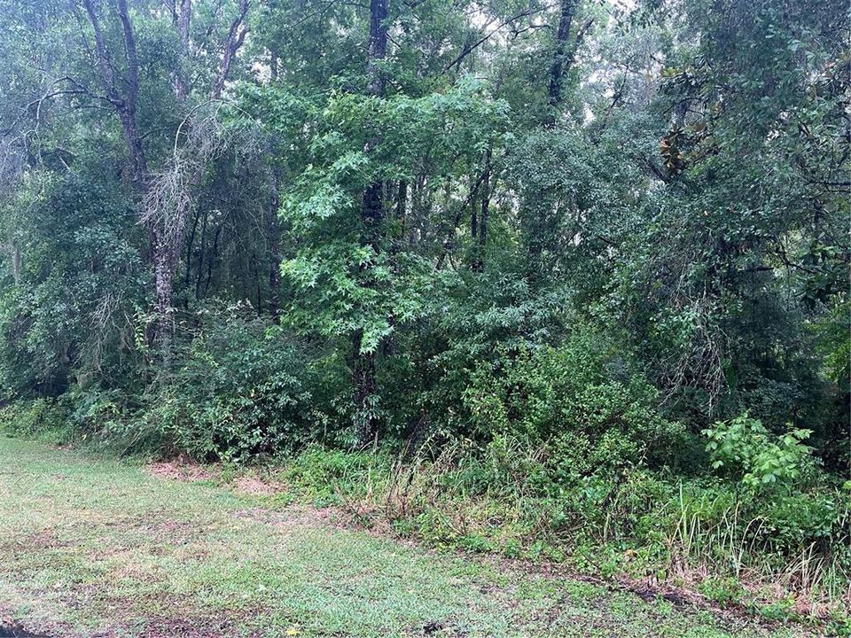 En Venta: $39,900 (0.50 acres)