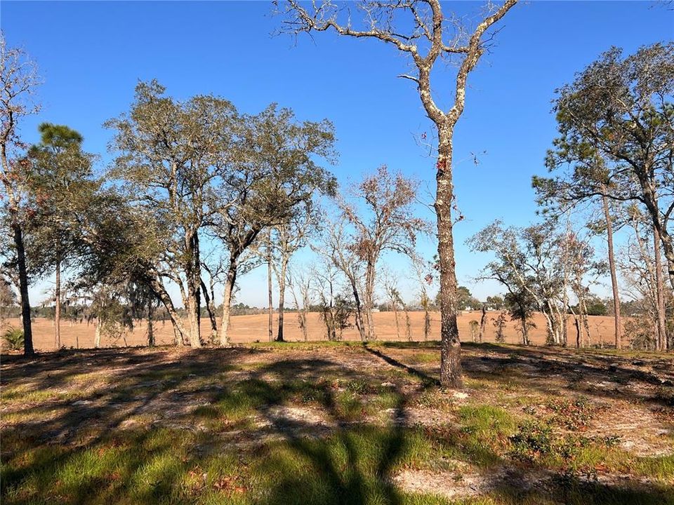 Recently Sold: $39,500 (1.00 acres)