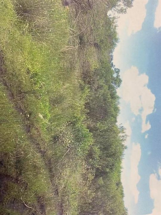 待售: $6,500,000 (21.09 acres)