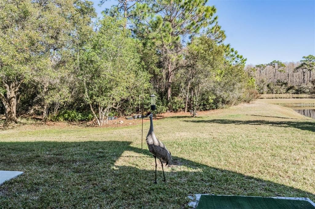Activo con contrato: $659,900 (5 camas, 4 baños, 3663 Pies cuadrados)