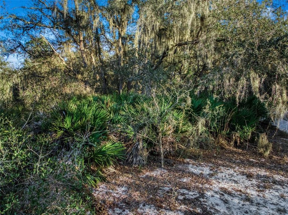En Venta: $29,900 (0.34 acres)