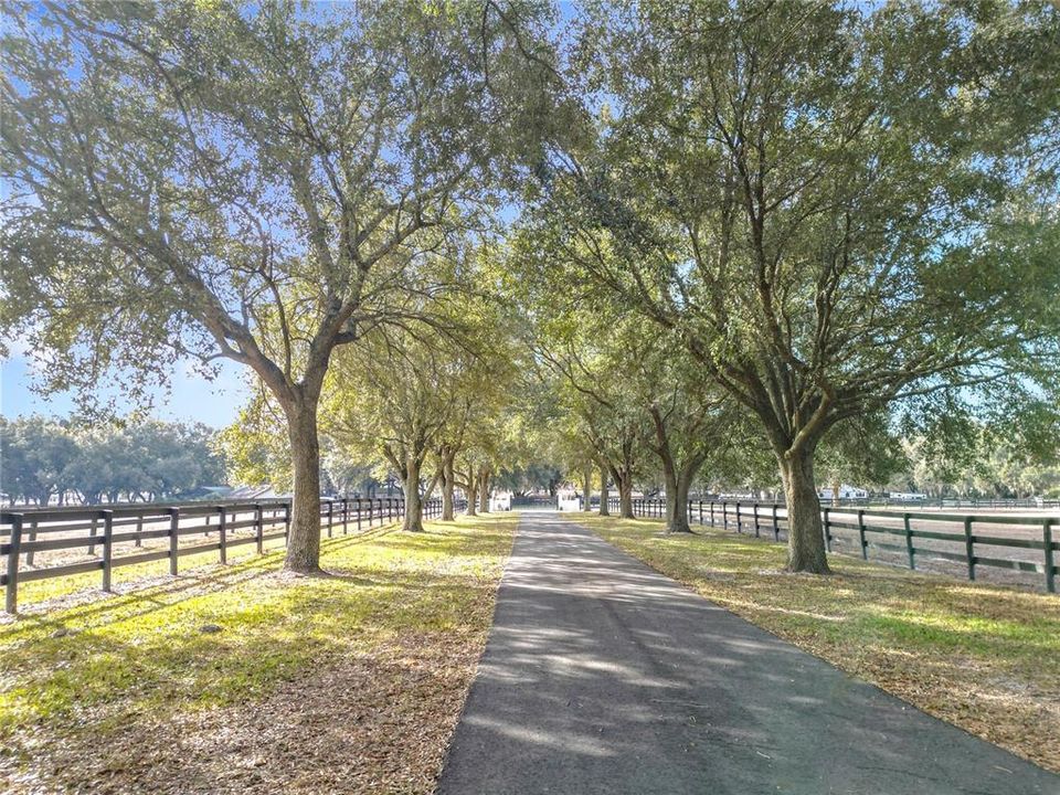 待售: $1,475,000 (5 贝兹, 2 浴室, 1400 平方英尺)