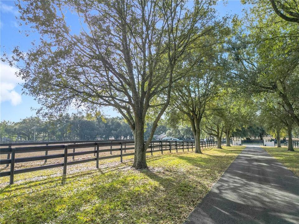 待售: $1,475,000 (5 贝兹, 2 浴室, 1400 平方英尺)