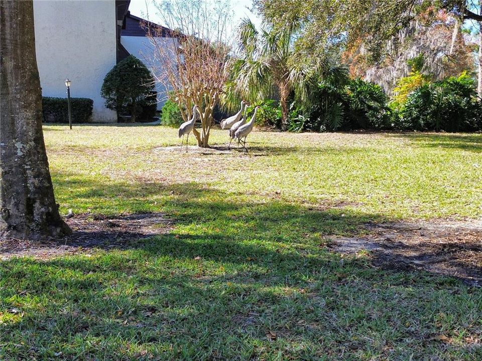 En Venta: $90,000 (2 camas, 2 baños, 1068 Pies cuadrados)