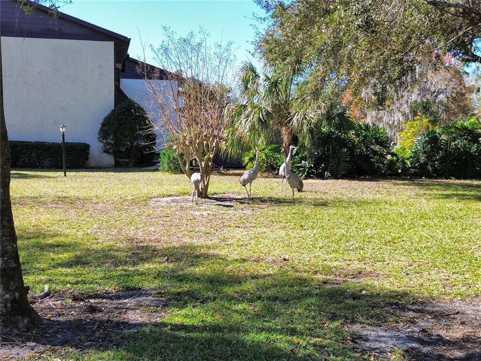 En Venta: $90,000 (2 camas, 2 baños, 1068 Pies cuadrados)