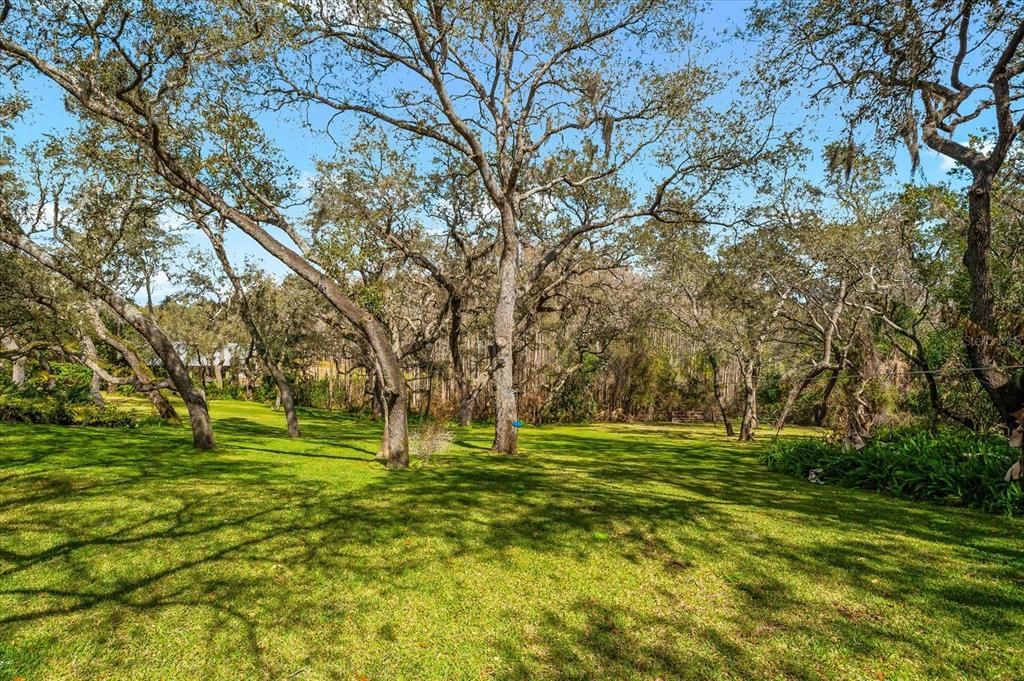 Activo con contrato: $1,225,000 (3 camas, 3 baños, 2800 Pies cuadrados)