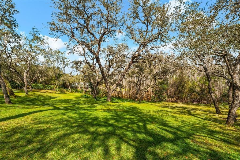 Activo con contrato: $1,225,000 (3 camas, 3 baños, 2800 Pies cuadrados)