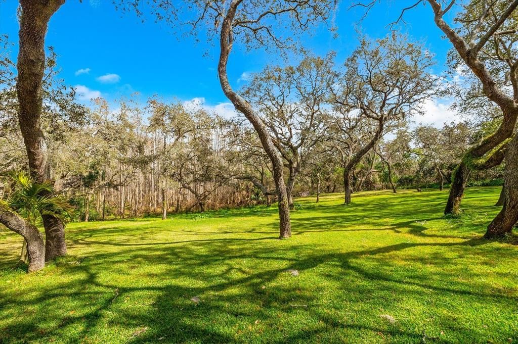 Activo con contrato: $1,225,000 (3 camas, 3 baños, 2800 Pies cuadrados)