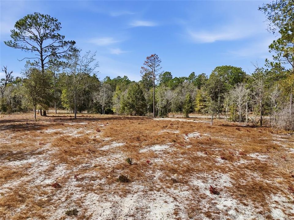 合同活跃: $37,900 (1.10 acres)