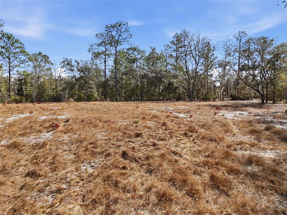 合同活跃: $37,900 (1.10 acres)